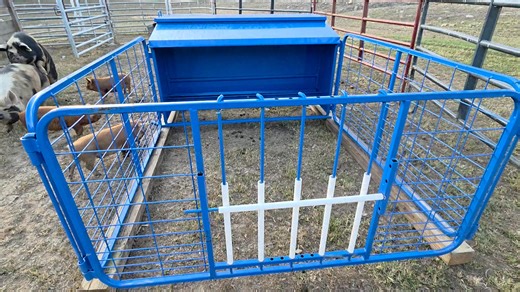 Got a new creep feeder to try for the lambs. | Faithful Shepherd Farm