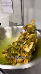 4.3K views · 19 shares | ✨NEW SPECIAL ALERT✨PISTACHIO, STRAWBERRY, MATCHA TIRAMISU Velvety mascarpone gelato, rippled with pistachio and strawberry, layered with matcha-soaked ladyfinger biscuits PLUS We’ve teamed up with Novo Shoes to celebrate — try our special for just $3 when you download the Augustus Rewards App, and you’ll receive $20 off Novo’s La Dolce Vita collection https://augustusgelatery.com.au/augustus-rewards | Augustus Gelatery | Facebook