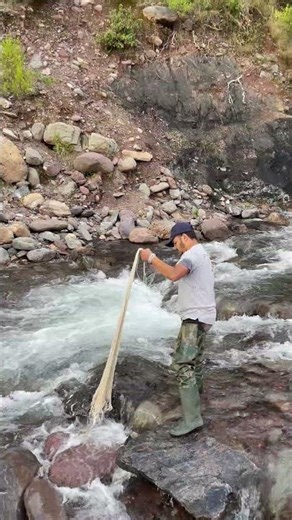송어 trout 빠른 밤 계곡 손그물로 잡아봤나? 🐟