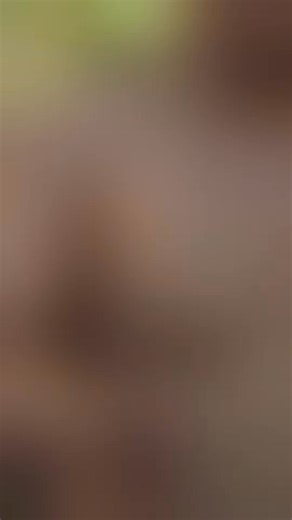 El pez vampiro amazónico, yuca venenosa y más comida en el amazonas 🇻🇪 Se te antojó? No te pierdas el documental completo, ya en mi perfil. #Venezuela | Calixto Serna Cooking