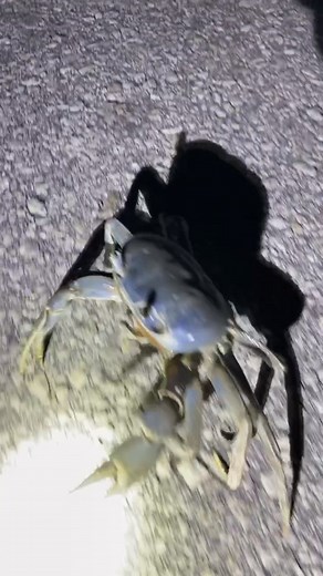 Net Worth of Garrett: Crazy Fishing Adventures in America