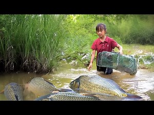 Little Girl Catches Giant Fish | Fishing Techniques – Catch Fish with Handmade Net Traps