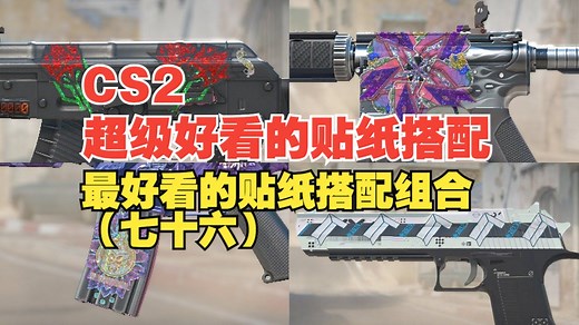 【CS2】4K绝美呈现；不容错过的精选贴纸搭配大赏（七十六）_游戏热门视频