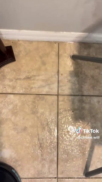 chloe.w. (@chloee.will)’s videos with original sound - chloe.w.