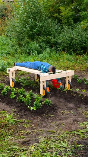 Bright Side on Instagram: "These gardening hacks are game-changers!🌿 #smartgardening #greenthumbhacks #gardeningtips"