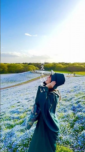ネモフィラ 一面を青く染める絶景。 #旅行 #絶景 #travel