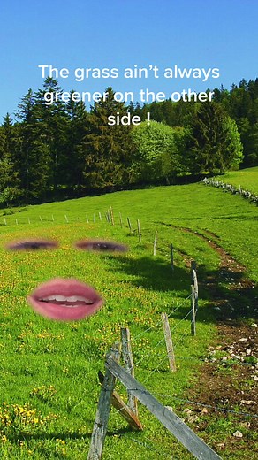 The Secret Behind Le Gruyère AOP Cheese Making Process