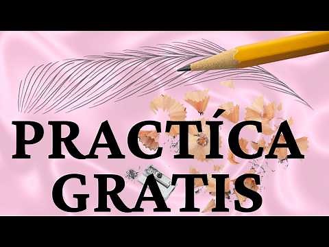 FREE Microblading Practice: 5 Easy Pencil and Paper Exercises 💖 No Money Needed!