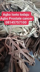 Agbo Iseto todaju Agbo Prostate cancer 08145757100 | Àṣírí SS TV