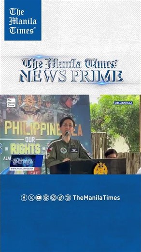 Air Force denies ‘chartered plane’ to send Bato to The Hague