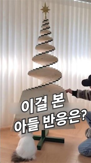 크리스마스 트리 이런게 있다고? #크라스마스트리