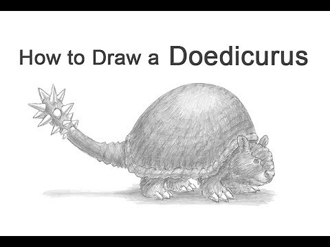 How to Draw a Doedicurus (Glyptodon)
