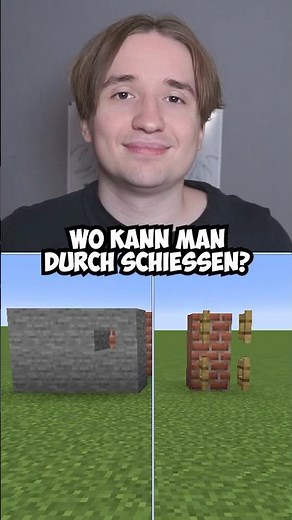 Where does the arrow go? | #Minecraft #MinecraftShorts #Shorts