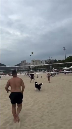 football ⚽️ au plage avec le chien 🐕 🐕 🐕 intelligent #football