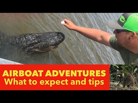 New Orleans Airboat Alligator & Swamp Tour 🐊