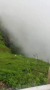 9.3K views · 298 reactions | Madhu on Reels | Facebook