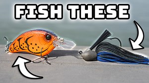 12K views · 562 reactions | Pre-Spawn Fishing Lures To DOMINATE Your...