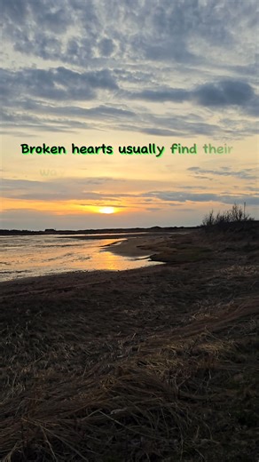 8.5K views · 570 reactions | A bestfriend's comfort. #friendship #friends #viral #bestfriend | Quotes and Notes | Facebook