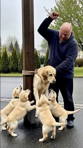 How This Dog Was Saved Will Surprise You