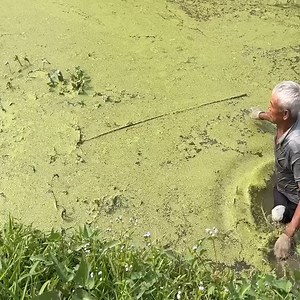 11K views · 78 reactions | Amazing fishing skills to catch big fish without hook! | Matt Mooney ヲ メ | Facebook