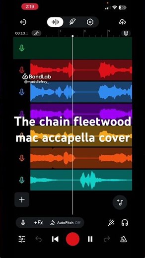 The chain cover #acapellasongs #cover #acapella #upcomingmusician #americanmusician #singing #music