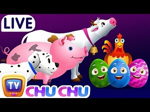 Old MacDonald Had A Farm and More ChuChuTV Surprise Eggs Learning Videos Live Stream - Videos For Kids