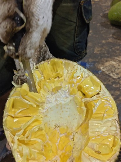 Coring Phet Ratcha Jackfruit: How to Core and Prepare