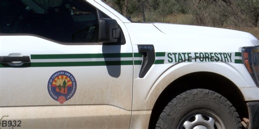 Arizona fire management crews crews begin wildfire reduction project in Arivaca