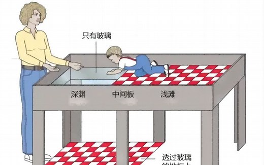 Test 4：Watch Out for The Visual Cliff!（小心视觉悬崖！！！）