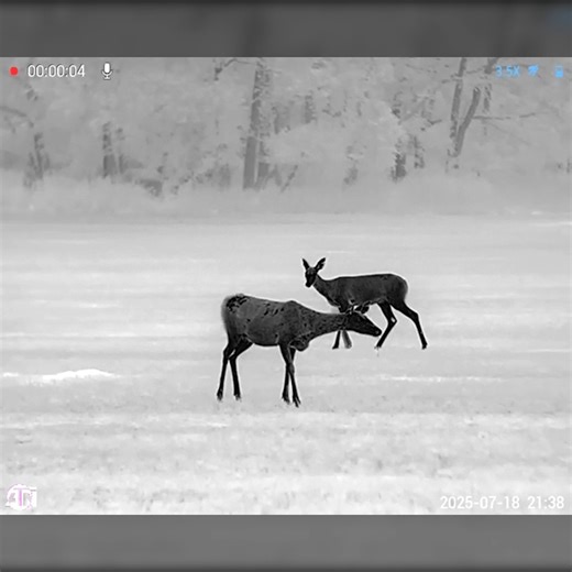 Every detail and every movement. The ATN BlazeHunter shows you the field like never before. With ultra-sharp thermal imaging in BlackHot and Sepia Mode, you’ll spot deer and bucks whether they’re close by or standing way out in the distance. Nothing escapes your view. Upgrade your vision for the hunt. Discover the BlazeHunter at atncorp.com #ATN #atncorp #blaze #hunting #huntinggear #OwnTheNight #GearUpAndGo #PrecisionShooting #HuntSmart #ThermalHunting #atnthermal | ATN