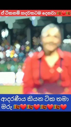 කැමති අය like කරමු ...කුහක නොවී download දීලා තියෙන්නේ ළමයි 🤭🇱🇰❤ #shali_gamage #shali❤️madu #ශාlika #bike #onthisday #victori #cricketasiacup2023 #tranding #cri #WheneverWherever #kurunagala__අපි #celebretycricket #cricket #srilanka #video #ජොන්ස්ටන්ප්‍රනාන්දු #ตามจังหวะ #motivation #celebretcricket