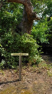 Have you ever been to Kerr Scout Ranch Chickasaw Village? It’s a unique experience where you can immerse yourself in the rich culture of the Chickasaw people. At the village, you get hands-on with activities like pottery and basket weaving, which provide a deep appreciation for the traditional crafts and skills passed down through generations. | Kerr Scout Ranch at Slippery Falls