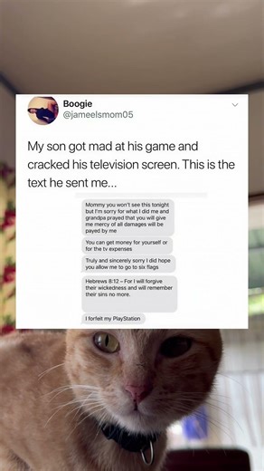 #auracat 👦