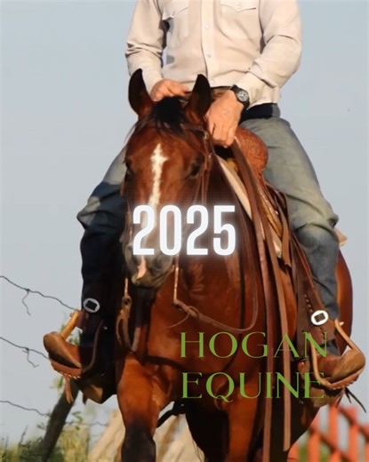 2025 has been another one for the books! Thank you to ask of our wonderful customers, great horses and our loyal followers and friends socially. Y'all are so good to us! Merry Christmas and Happy New Year we will see you in 2026 🍾🥂 Hogan Equine - Where Change Is Made #yearinreview #horsetrainer #horsetraining #cowhorses | Hogan Equine