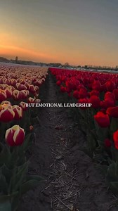 6.1K views · 67 reactions | Fathers take notes here.....