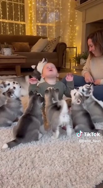 Adorable Baby Thinks He’s a Husky