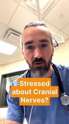 17K views · 53 reactions | We’ve been there—staring at a neuro...