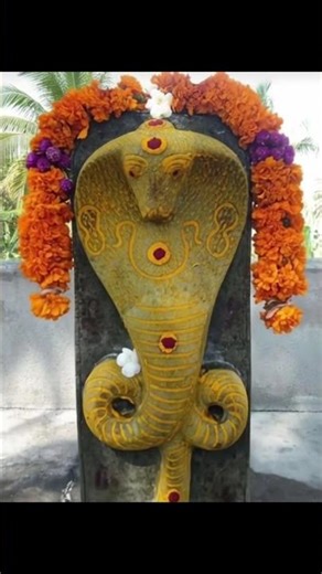 ओम नाग देवता नमः🙏🙏#bhaktisong #motivation #shortvideo #viralshorts #nag Mata#nag Devta 🙏🙏