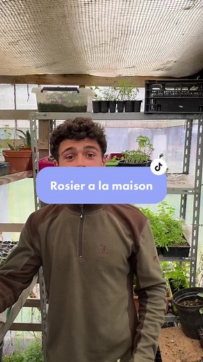 Je t’explique comment faire des boutures avec un bouquet de roses ! 🌹 #rose #permaculture #recyclage #potager #potagerbio #astuces #tuto #permaculturefrance #pourtoi