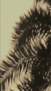 97 reactions | Exploring the Unknown: Could Extraterrestrial Life Be...