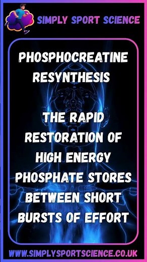 #SportsScience - What is Phosphocreatine Resynthesis?