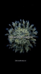 5 Namirnica za Ravan Stomak – Recite Zbogom Nadutosti! Muči vas nadutost i uporni višak na stomaku? Ove namirnice vam mogu pomoći da prirodno postignete ravan stomak! 🍏🥑 ✅ Jabuka (150g dnevno) – Bogata vlaknima i pektinom, poboljšava varenje i sprečava nadutost. ✅ Krastavac (200g dnevno) – Prirodni diuretik koji eliminiše toksine i smanjuje zadržavanje vode. ✅ Čia semenke (15g dnevno) – Upijaju vodu i formiraju gelastu strukturu koja poboljšava varenje i daje osećaj sitosti. ✅ Avokado (100g dn