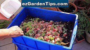Como fazer um acelerador de compostagem caseiro 🌱 Dicas Jardineiros - Pt.ezGardenTips.com