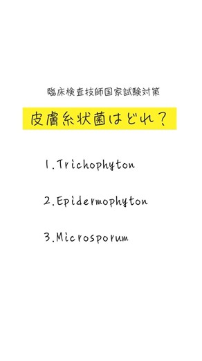 【皮膚糸状菌は？】 #検査技師学生 #臨床検査技師 #真菌 #感染症 #微生物学