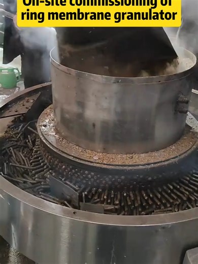 Testing Raw Materials with Ring Mold Wood Pellet Machine