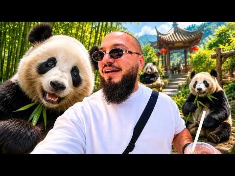 Visiting Adorable & Giant Pandas In Diverse Chongqing + Historical Hongyadong, China 🇨🇳