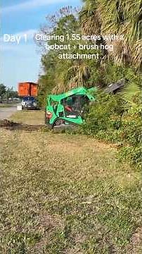 Clearing 1.55 acres with a bobcat + brush hog attachment #clearingland #bobcat #brushhog