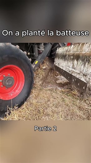 Résolution des problèmes en agriculture : astuces pratiques