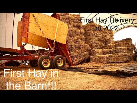 Stacking, Hauling, and Delivering Small Square Bales