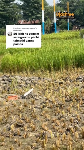 44K views · 535 reactions | New project itahari ️ @topfans Ojashree house Ojashree Koreyan House Top Fans #viraltiktok #ojashree | Ojashree house | Facebook